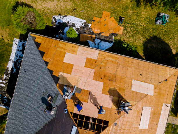 Best Metal Roofing Contractor  in Martha Lake, WA