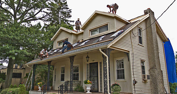 Best Roof Repair Services  in Martha Lake, WA
